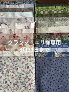 デザイナーズ柄　パッチワークカットクロス　約220g 約25枚　グランマエリ様