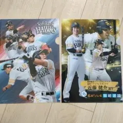 福岡ソフトバンクホークス クリアファイル2枚セット