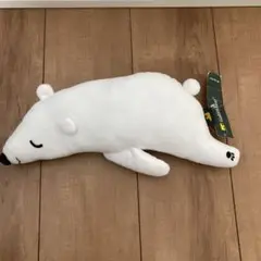 シロクマぬいぐるみ　golden bear くま