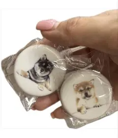 柴犬　箸置き　新品未使用