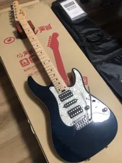 日本製 SCHECTER SD-2-24 希少 アッシュボディ 2010年製造品 Amazon.co.jp: SCHECTER SD-2-24 AS 国産本格モデル！ 極上