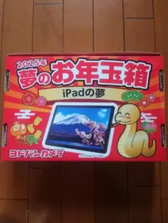 ヨドバシカメラ iPadの夢 mqdefault.jpg