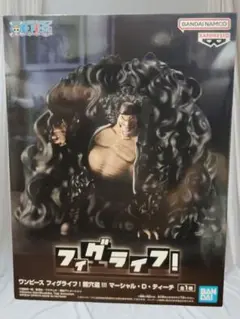 ワンピース フィグライフ! 闇穴道!!! マーシャル・D・ティーチ　フィギュア