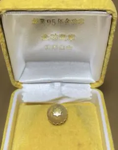 日本生命 K18 金功黄章 金バッチ ケース付き
