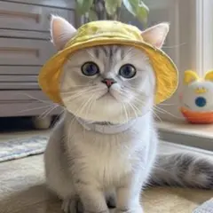 Item thumbnail for item 1f07dfd9-4462-4895-9507-cad9132ef915