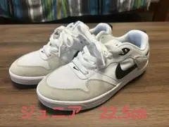 NIKE SB ALLEYOOP アリウープ ジュニア