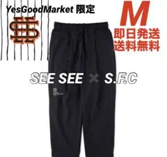 Item thumbnail for item be36821e-3b6e-4806-bf84-aa9cb484be34
