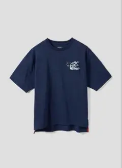 Item thumbnail for item 5b40d1c7-0745-4189-9390-5dceab5aea49