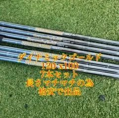Dynamic Gold 120 X100 7本セット
