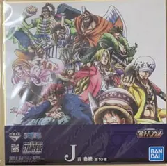 ONE PIECE ワンピース 一番くじ 色紙 スタンピード
