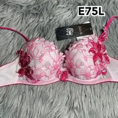 ワコール✨♥️サルート53グループPアップブラソングセット(ピンク)