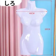 Item thumbnail for item 74a22a7f-e7e1-4dc9-9361-aad03093b4a1