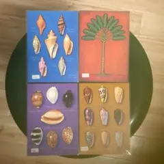 絵葉書4枚セット