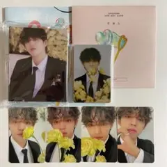SEVENTEEN エスクプス FML CARAT盤 トレカ 28種 コンプ