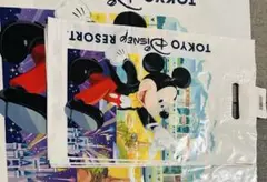 Item thumbnail for item 5ad4d09e-f249-4b3e-aa5d-582b092285d4