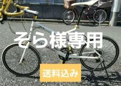 121：ルイガノ　MVCargo　ジャンク　引取限定：埼玉県所沢市 121：ルイガノ MVCargo ジャンク 引取限定：埼玉県所沢市