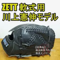 ZETT ゼット 川上憲伸モデル 日本製 プロステイタス 佐藤作 硬式