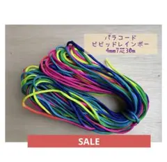 レインボーパラコード4mm7芯30m