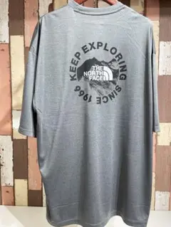 THE NORTH FACE ショートスリーブ Tee L NT12431
