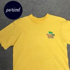 P2343 バハマ　プリンセスクルーズ　企業　Tシャツ バックプリント