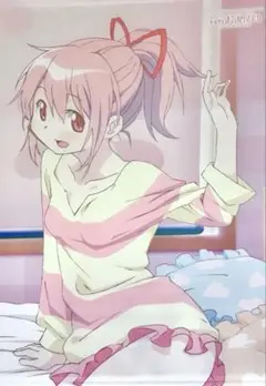 劇場版 魔法少女まどか☆マギカ まどマギ カーテン魂 B2 タペストリー