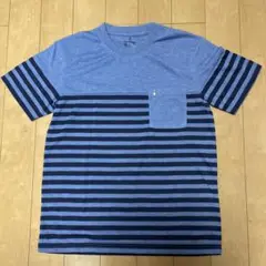 Lush Puppies ストライプ Tシャツ M