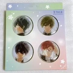 ハイ☆スピード! ハイスピ Free! 缶バッジ マグネット 遙 真琴 郁弥 旭