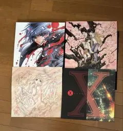 劇場版 X-エックス-('96X製作委員会) ビデオ 完全予約限定版