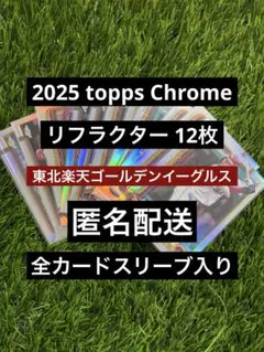 Item thumbnail for item f0f13f59-fd33-4416-89b9-22c97cb8bd9f