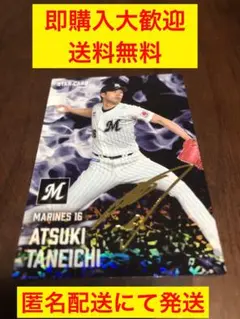 即購入大歓迎　送料無料　種市篤暉　プロ野球チップス第2弾　スターカード