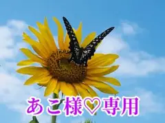 あこ様❤️おまとめ専用ページです。8/27まで♡