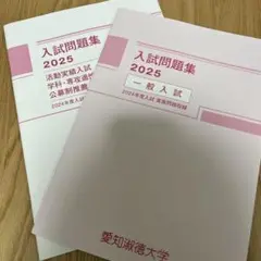 愛知淑徳大学　入試問題集2025 公募制推薦入試　一般入試　過去問