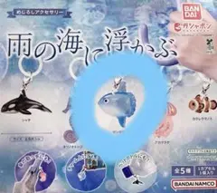 雨の海に浮かぶ　マンボウ