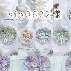 【sio0622様おまとめ】ドライフラワー