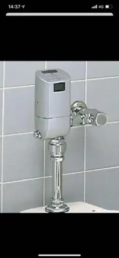 Item thumbnail for item 68795004-9665-4869-addc-a0b5081fede9