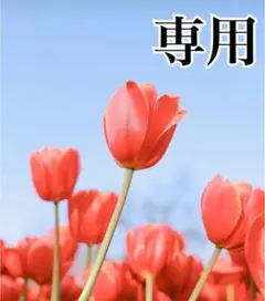 ルイヴィトン ハンドバッグ 村上隆 コラボ チェリーブロッサム 桜 モノグラム