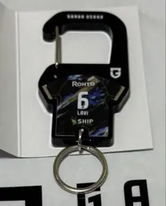 ガンバ大阪 シークレット EXPOユニ型アクリルカラビナ ネタラヴィ選手