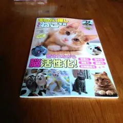 まちがい探し かわいいねこ写真