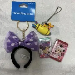 東京ディズニーリゾート グッズセット　キーホルダー
