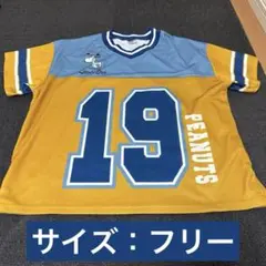 【ユニバーサルスタジオジャパン公式】スヌーピー メッシュTシャツ（フリーサイズ）