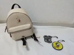 極美品✨️コーチ　 キーホルダー　PVC　マルチカラー リュック型　CA030 2025年最新】コーチリュック型キーホルダーの人気アイテム