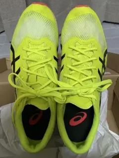 Item thumbnail for item 19c65a56-82df-4086-a1cb-64962675ed8b