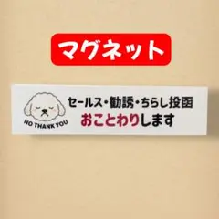 【マグネット】イヌ　セールスチラシお断りおことわり　玄関　ポスト　トイプードル