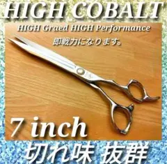 Item thumbnail for item 8e2d9200-7779-4ba3-afa7-15e931f22f31