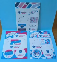 横浜FCシーガルズかもめいとステッカーとクリアファイルセット