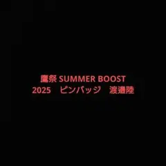 専用品　鷹祭 SUMMER BOOST 2025　ピンバッジ　渡邉陸