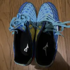 ミズノ トレーニングシューズ