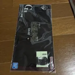 Item thumbnail for item 67793b8d-4fe9-4d9f-bd6f-ab7cdcd1d179