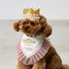 3coins スリーコインズ スリコ　ペット用 スタイ&王冠セット　ピンク　犬