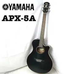 2025年最新】yamaha apx-5aの人気アイテム - メルカリ